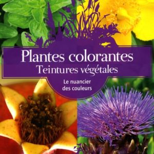 plantes colorantes teintures végétales