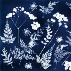 ateliers pour enfants et adultespour apprendre en s'amusant à fabrier des peintures avec des ocres et pigments et des teintures avec des plantes tinctoriales